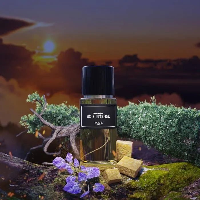 BOIS INTENSE - Storeo FR